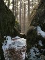 Rothstein (38)